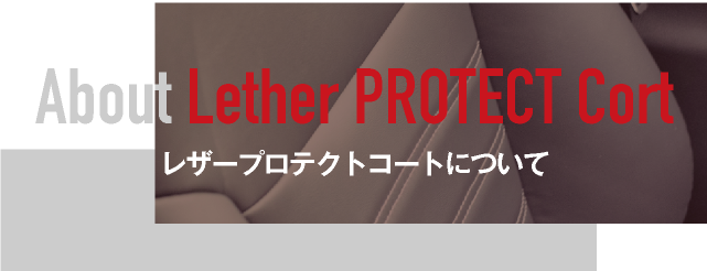 レザープロテクトコートについて