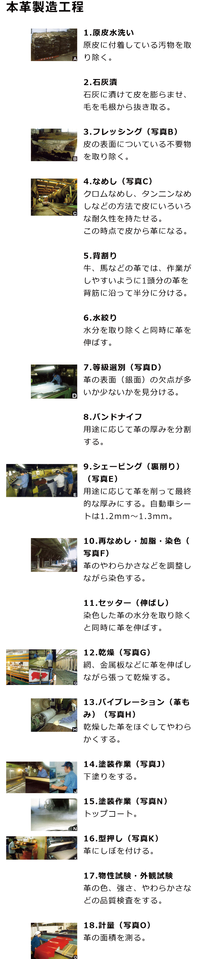 本革製造工程